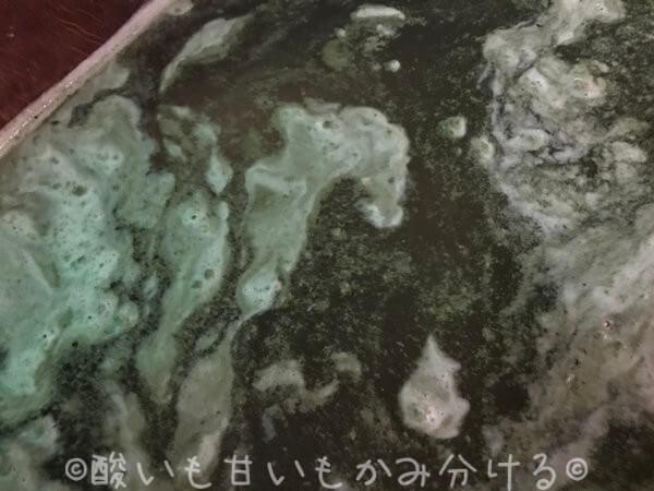 酵母のダマが浮いている浴槽内