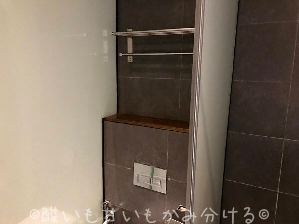 エアアジアプレミアムレッドラウンジトイレにある棚