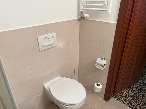 Park Hotel Hévízデラックスルームのトイレとタオル乾燥ラック