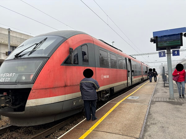 ケストヘイ駅に到着した列車
