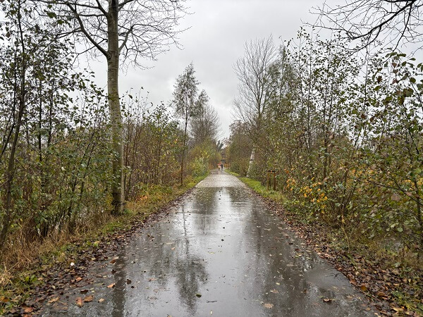 デハール城までは基本1本道