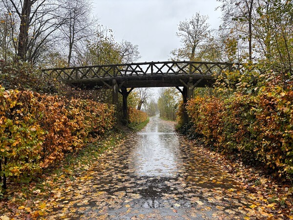 デハール城へ向かう道中の映えそうな橋と生垣