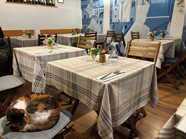 ドブロニクのレストラン「Restoran Lajk」の店内。左下の座り心地のよくない安い椅子で猫が丸まって寝ている。テーブルの上の衛生状態が気になる様子。