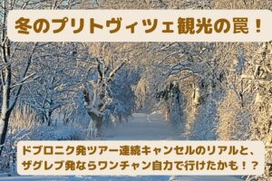 雪の積もった冬のプリトビチェの風景