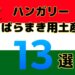 【コスパ最強】ハンガリーのばらまきお土産おすすめ13選｜スーパーで買えるアイテムまとめ